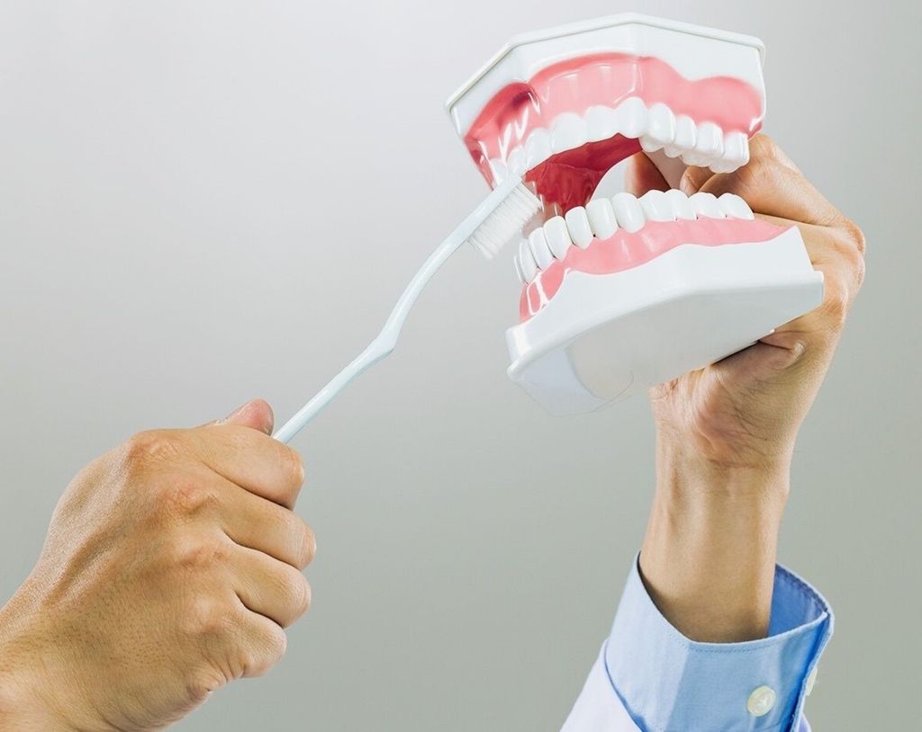 Partial and Complete Dentures 7 Close-up of hands demonstrating brushing on dental model for dentistry education.